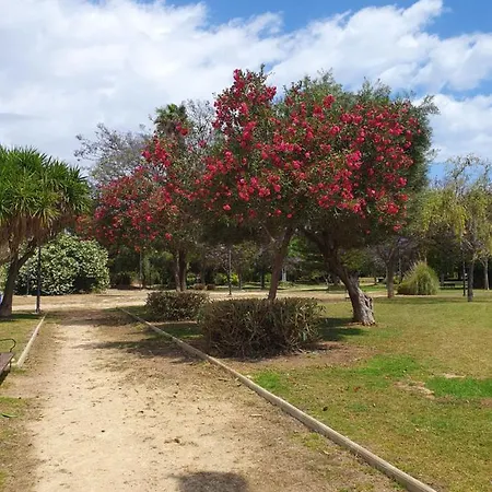 El.paraiso, *